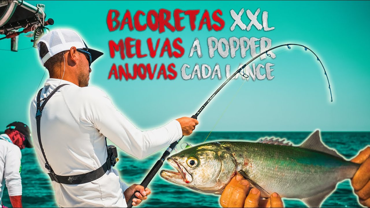 ANJOVAS a CADA LANCE [Spinning desde PLAYA + EMBARCACIÓN] Pesca Delta del Ebro | Lured Vlog 148