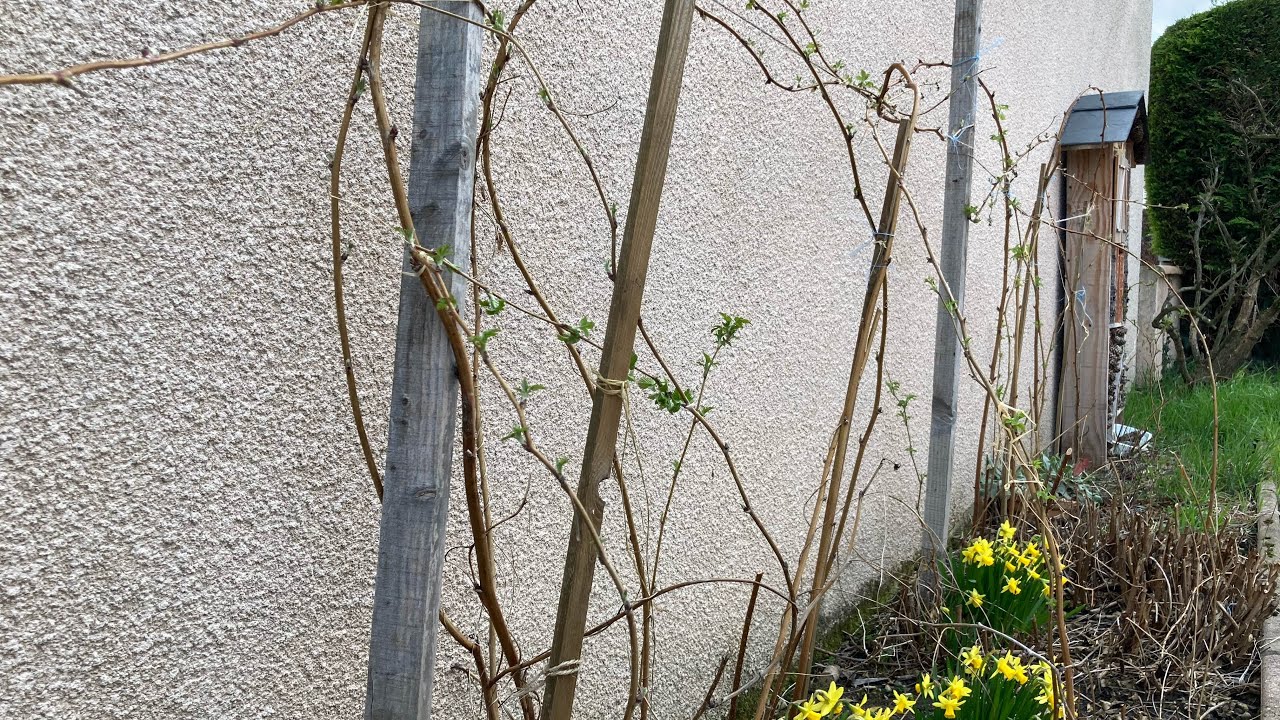 Première verpes et belle balade