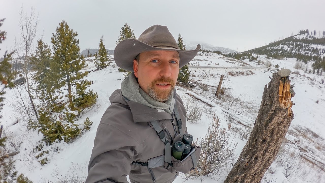 We SAVED the Wolf, but Destroyed the Wilderness!