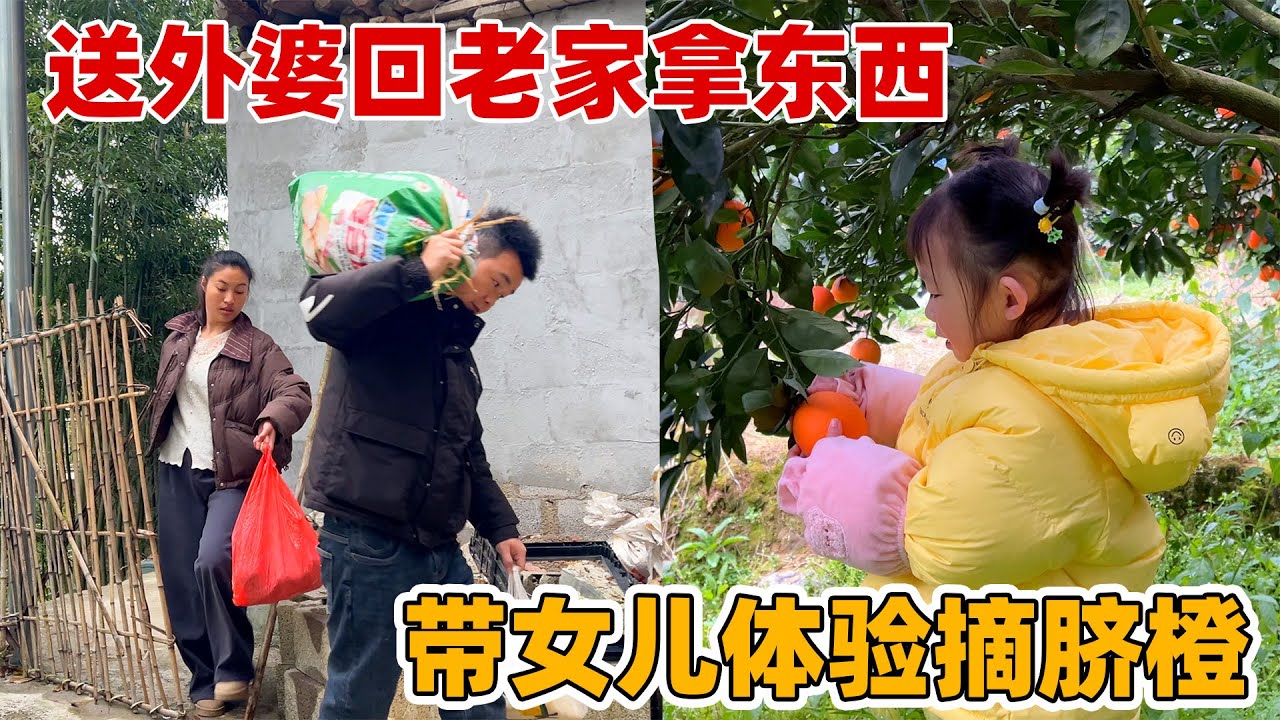 带女儿到果园体验摘果的快乐，黄橙橙的橙子让她兴奋不已，四十斤橙子还没到家就分送完了