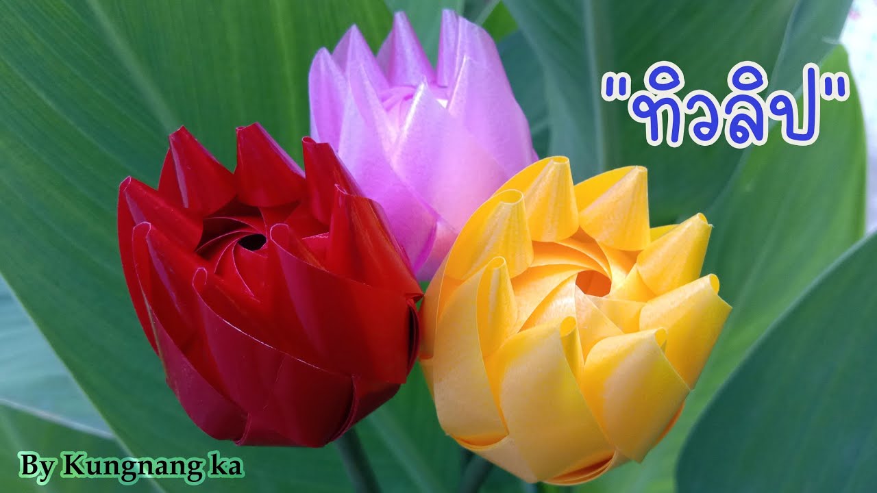 วิธีพับเหรียญโปรยทาน ดอกทิวลิป