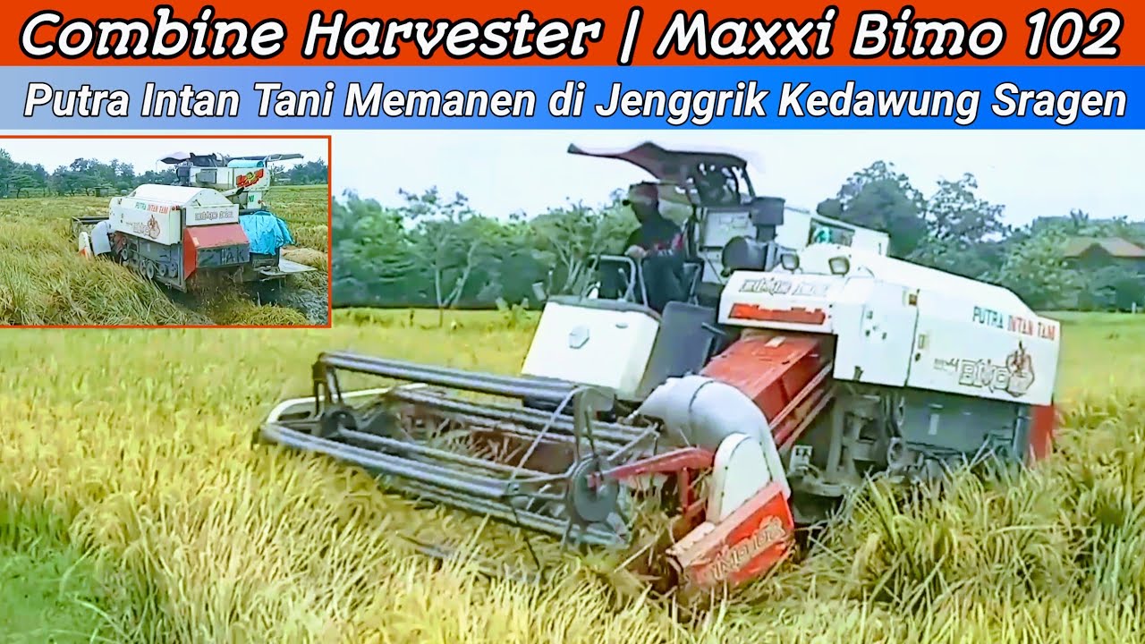 Kombi Bimo 102 Putra Intan Tani |  Memanen di Jenggrik Kedawung Sragen 