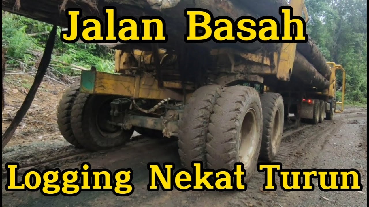 Jalan Basah Logging Nekat Turun Gunung