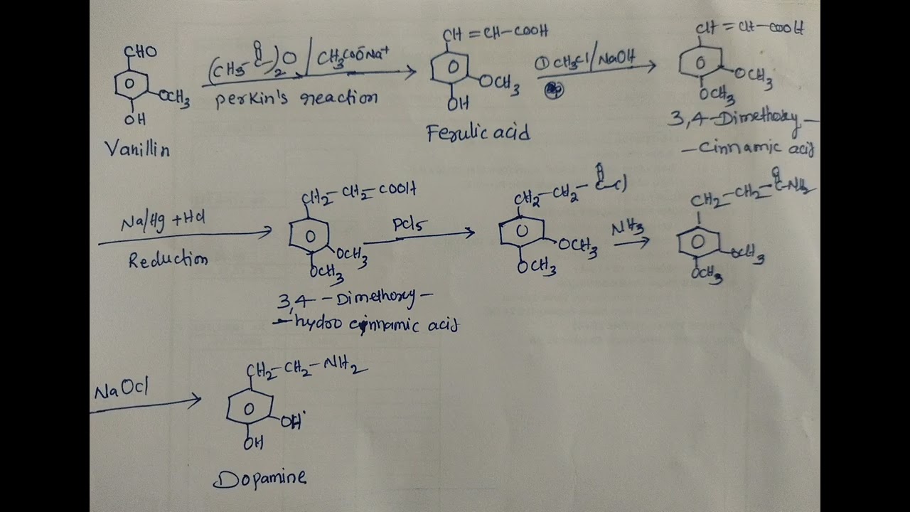 PREPARATION OF DOPAMINE #dopamine 