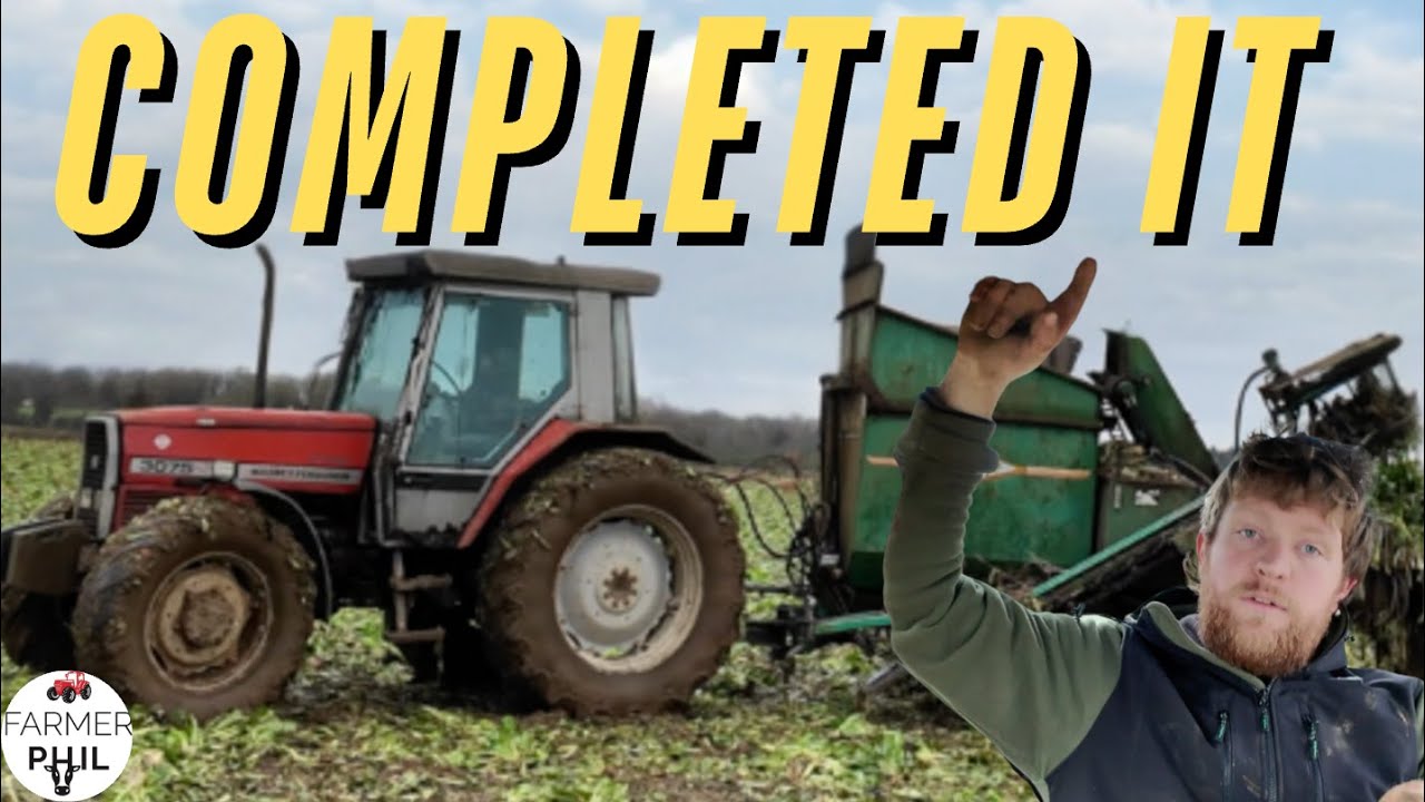 THE FINAL VIDEO  | FODDER BEET HARVEST 2024
