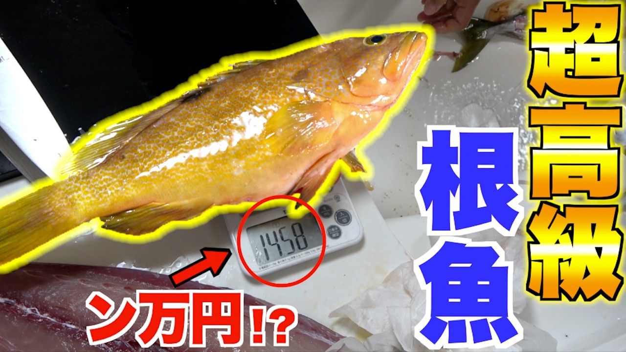 今、関西で大人気の高級魚を珍しい料理法で食べてみると・・・！？