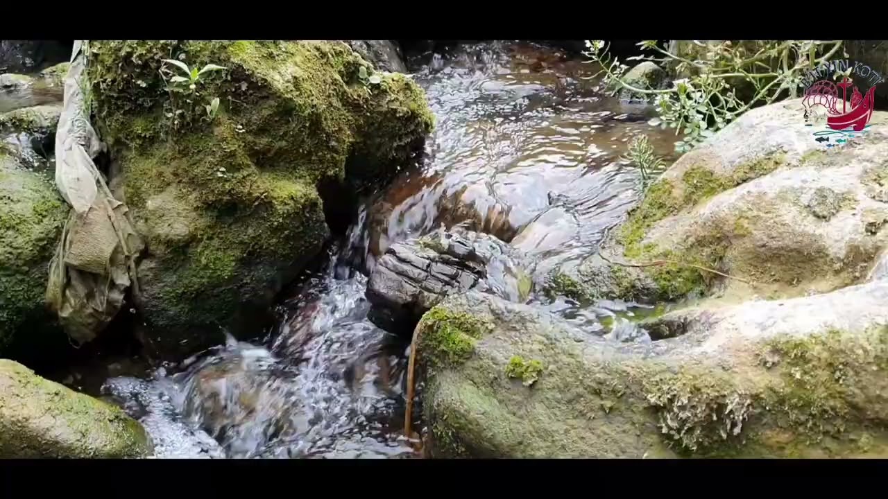 Agua  cristalina 