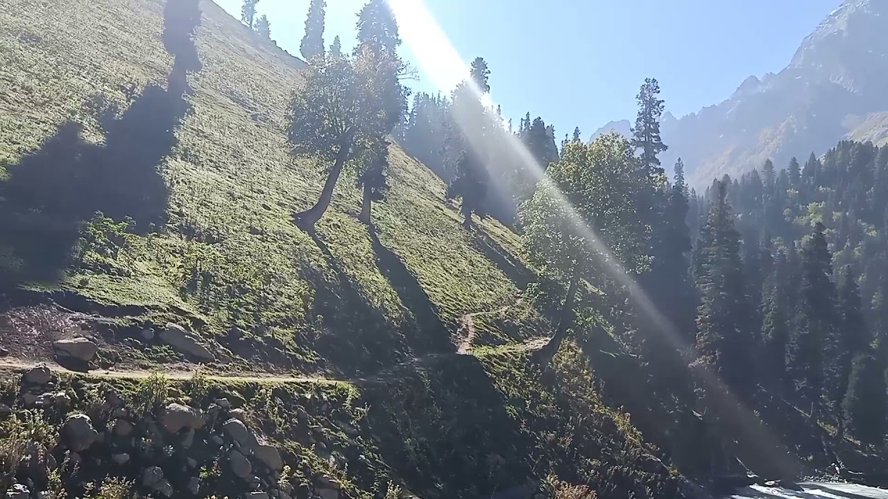 Nature's of Kashmir#Nature#kashmir#sonamarg