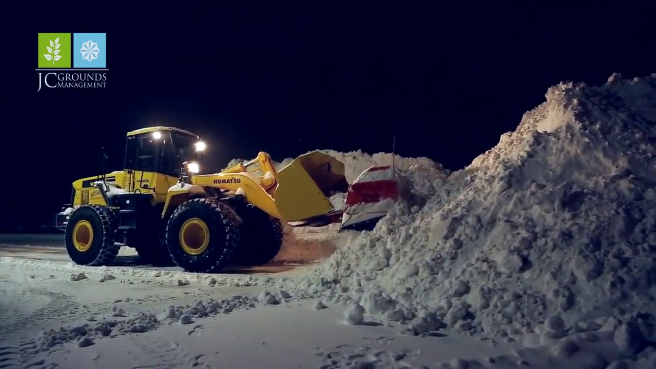 More Than A Job