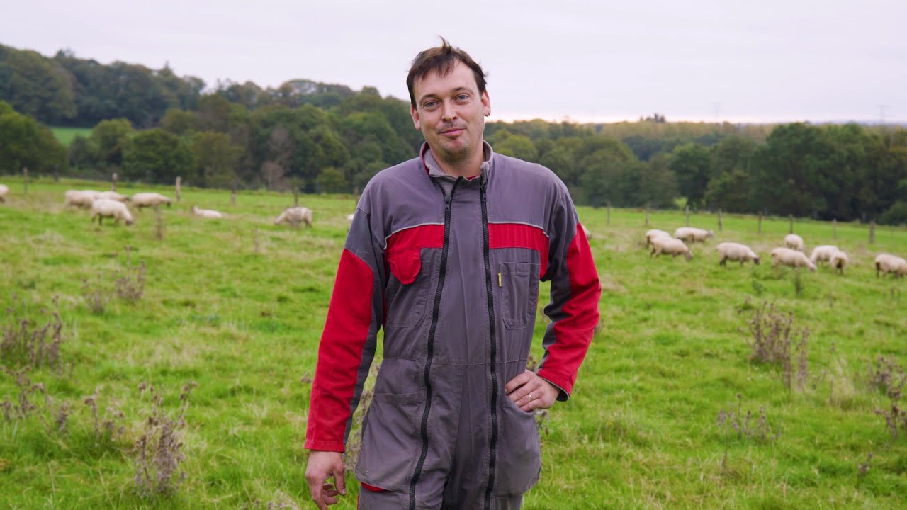 &Eacute;levage ovin BIO en Bretagne