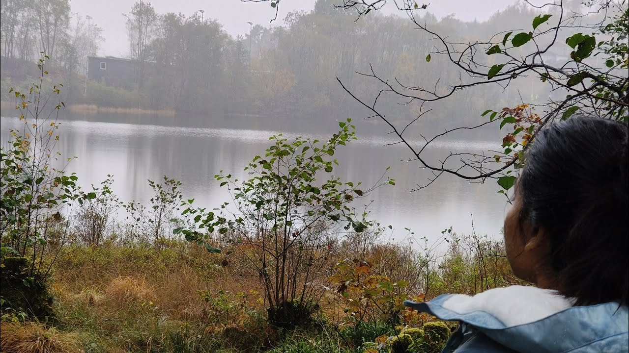 Whispers of Norwegian Autumn | நார்வே இலையுதிர் நிறங்கள் #நார்வே #நாகர்கோவில் #norwaytamil #travel