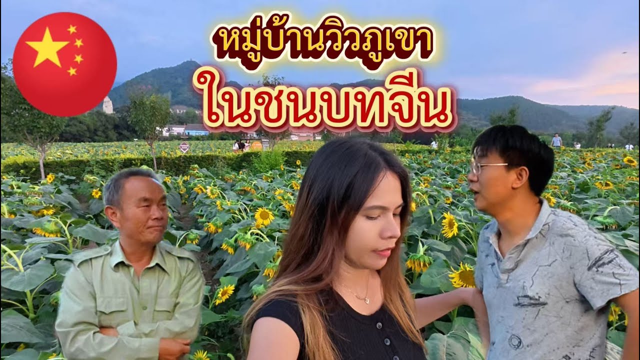 ชีวิตในจีน EP.25 l ทุ่งทานตะวันกลางหมู่บ้านชนบทจีน วิวภูเขาสวยเหมือนภาพวาด