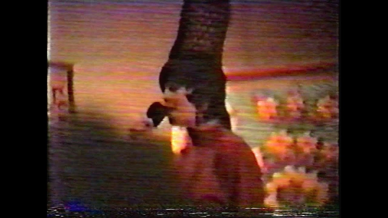 Cindy Wilson -  She Brakes For Rainbows (live)