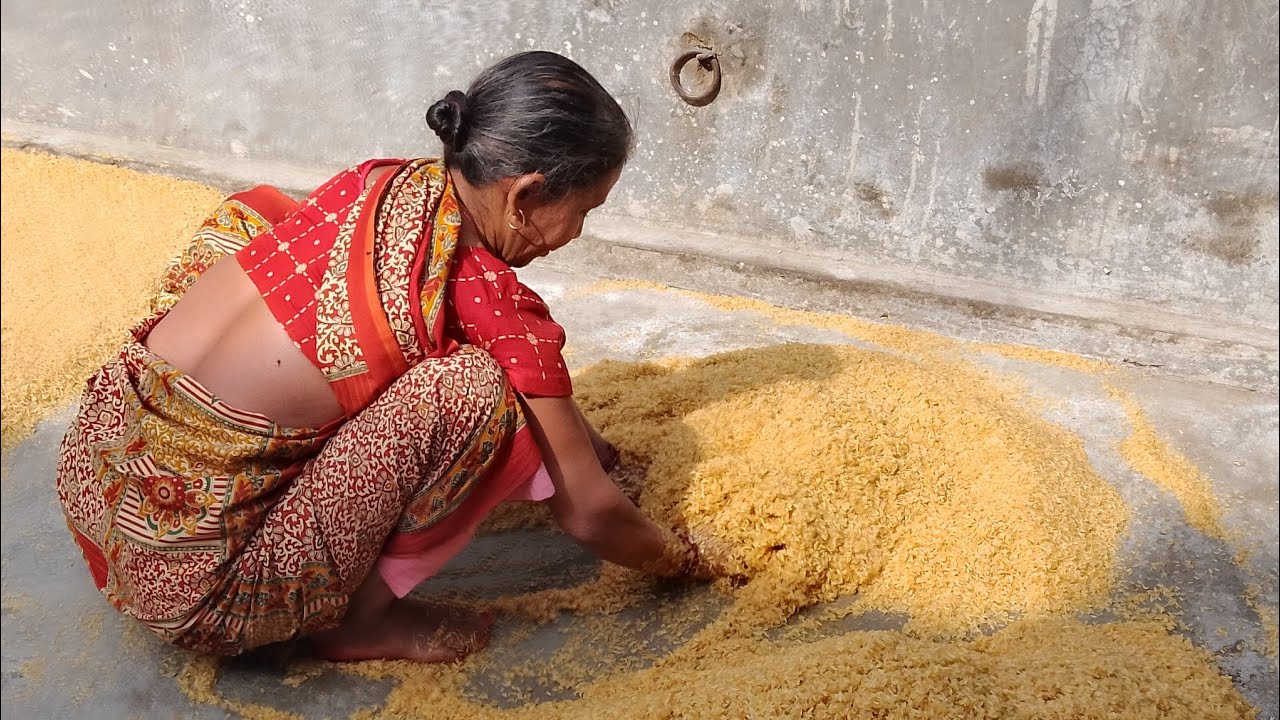 মুড়ির চালের প্রসেসিং 9832948296