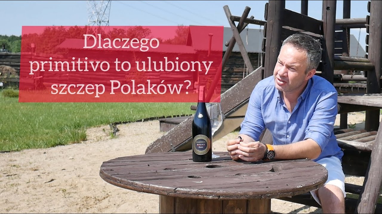 Dlaczego (prawie) wszyscy lubią szczep primitivo | 4Senses.TV