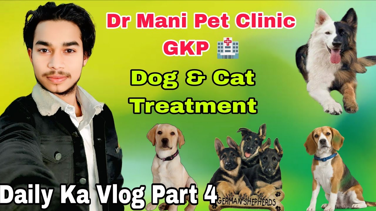 Dr Mani Pet Clinic GKP 🏥🐶🐱 | Dog & Cat Treatment 💉😍 | Daily Ka Vlog Part 4🙏✨ pet hospital vlogs 😍