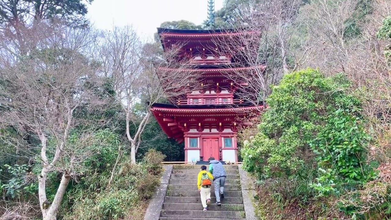 【2026.3.7】浄瑠璃寺#障がい者支援 #障がいのある人に優しい街 #自閉症の息子との生活 #どんどん出かける#奇声#コメント大歓迎