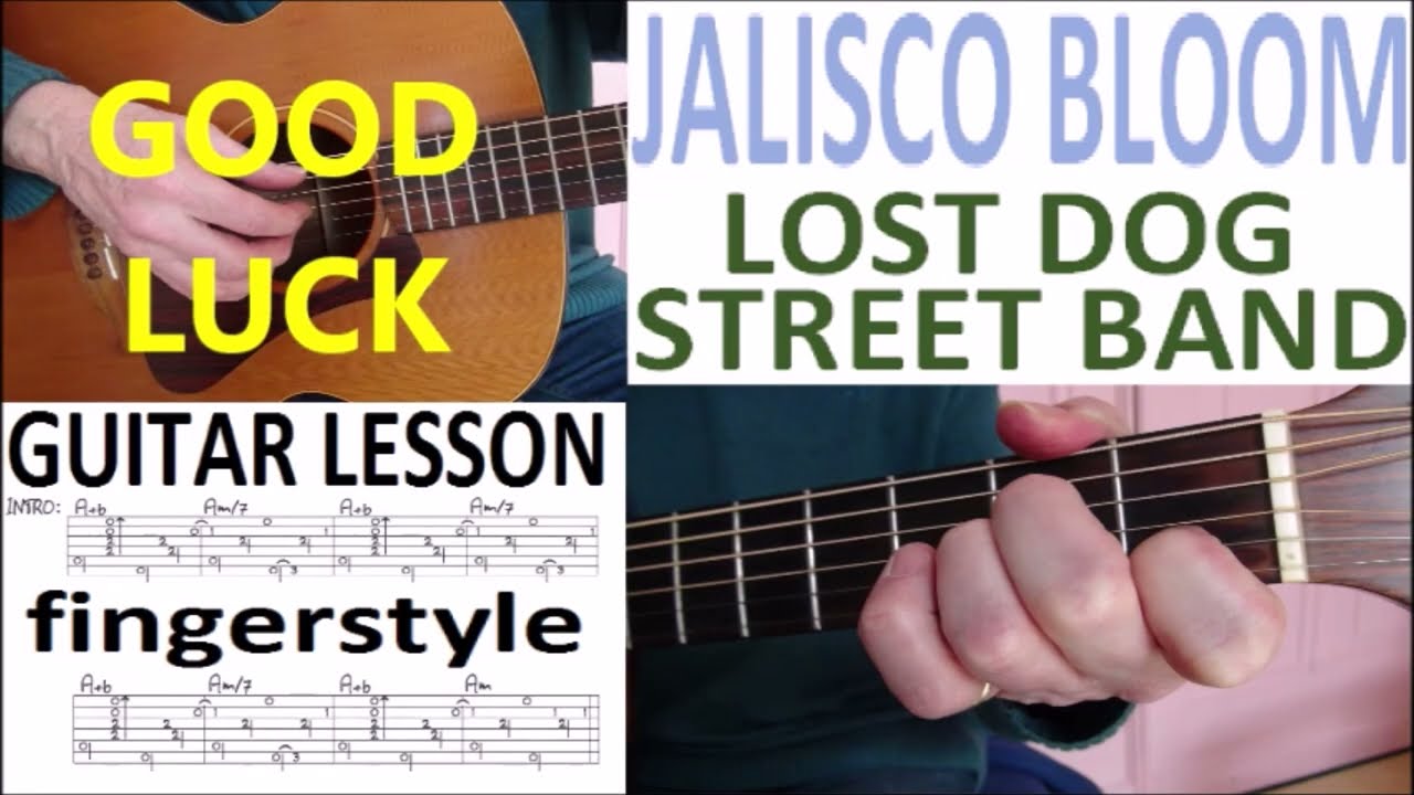JALISCO BLOOM - LOST DOG STREET BAND fingerstyle GUITAR LESSON