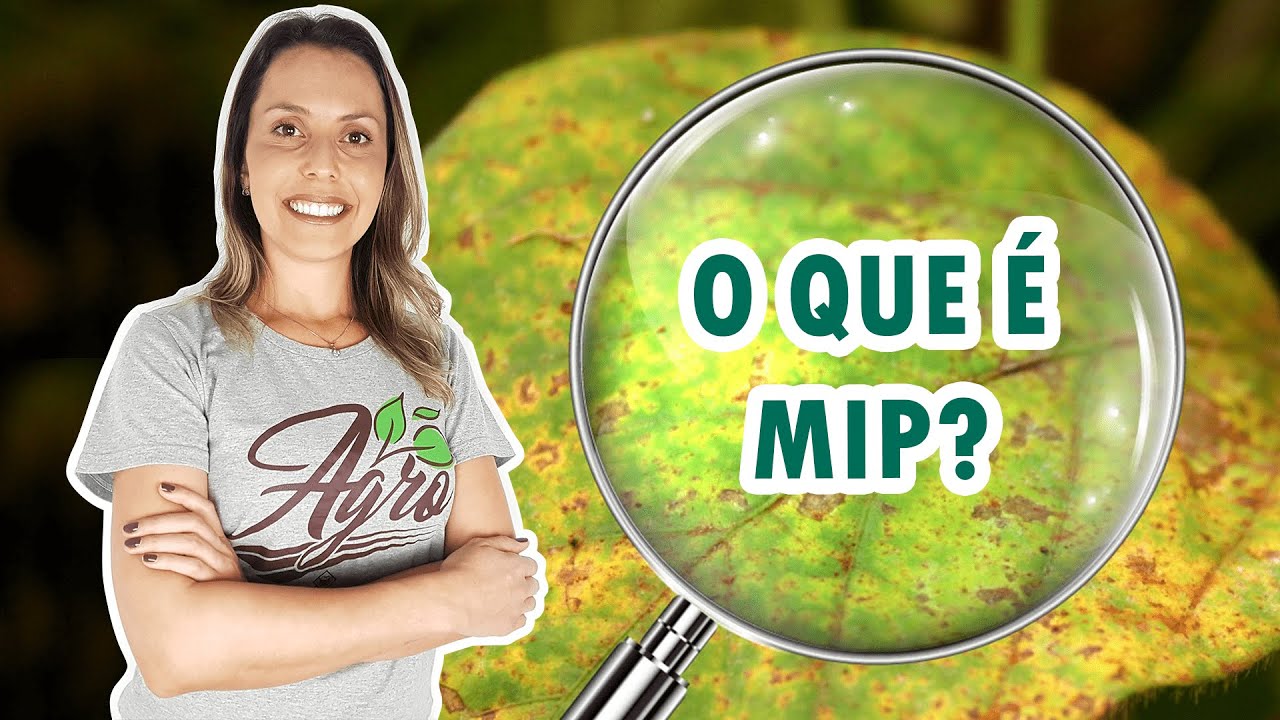 O que &eacute; MANEJO INTEGRADO DE PRAGAS  | Dicion&aacute;rio do Agro |