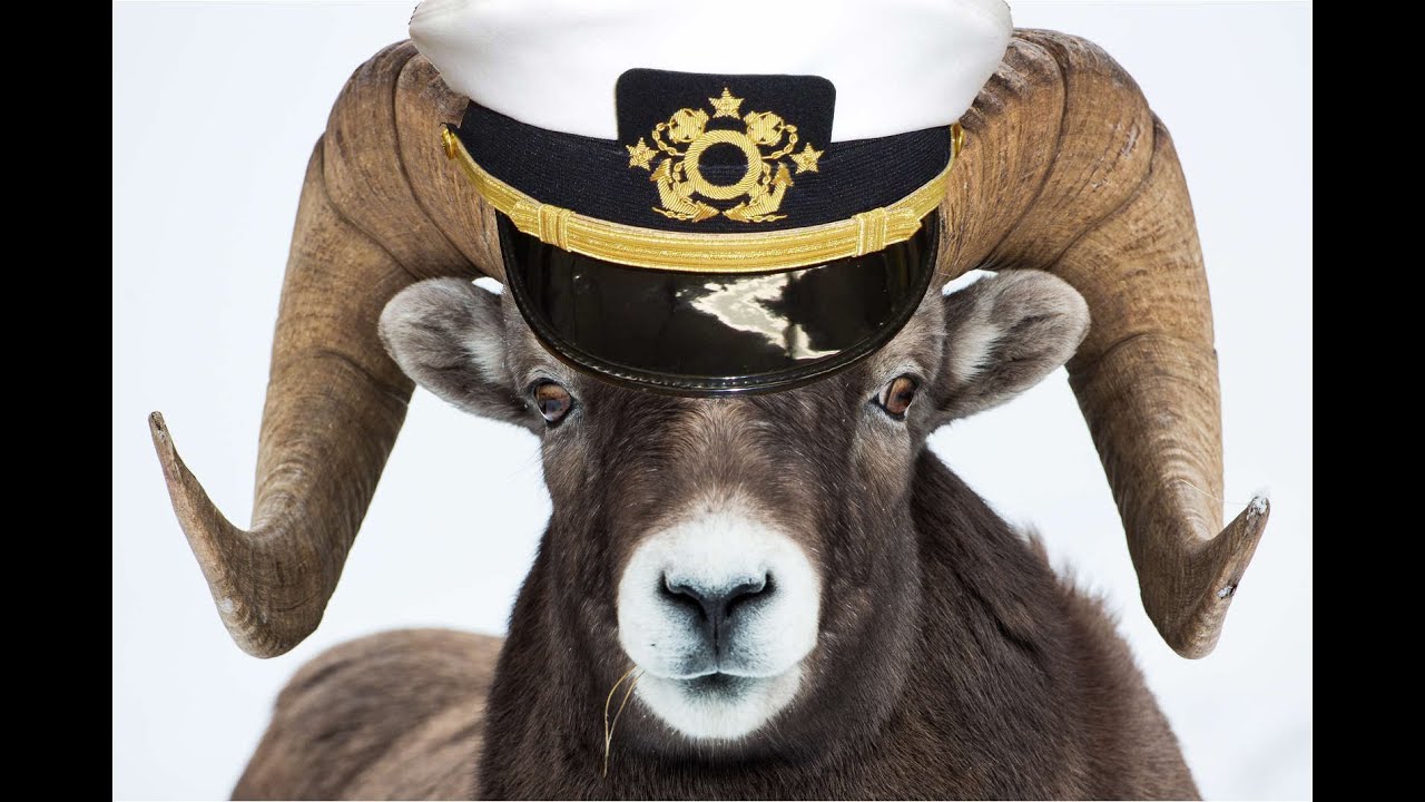 World of Warships OBT - Alternative Fighting Methods