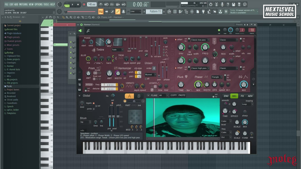 Next Level Music School Tutorials - MOLEY - Cardinal feat. Vanfleet /TRACK BREAKDOWN/