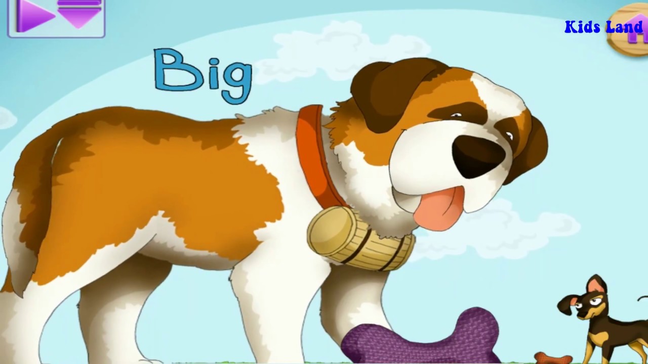 Opposites adventure puppy playtime