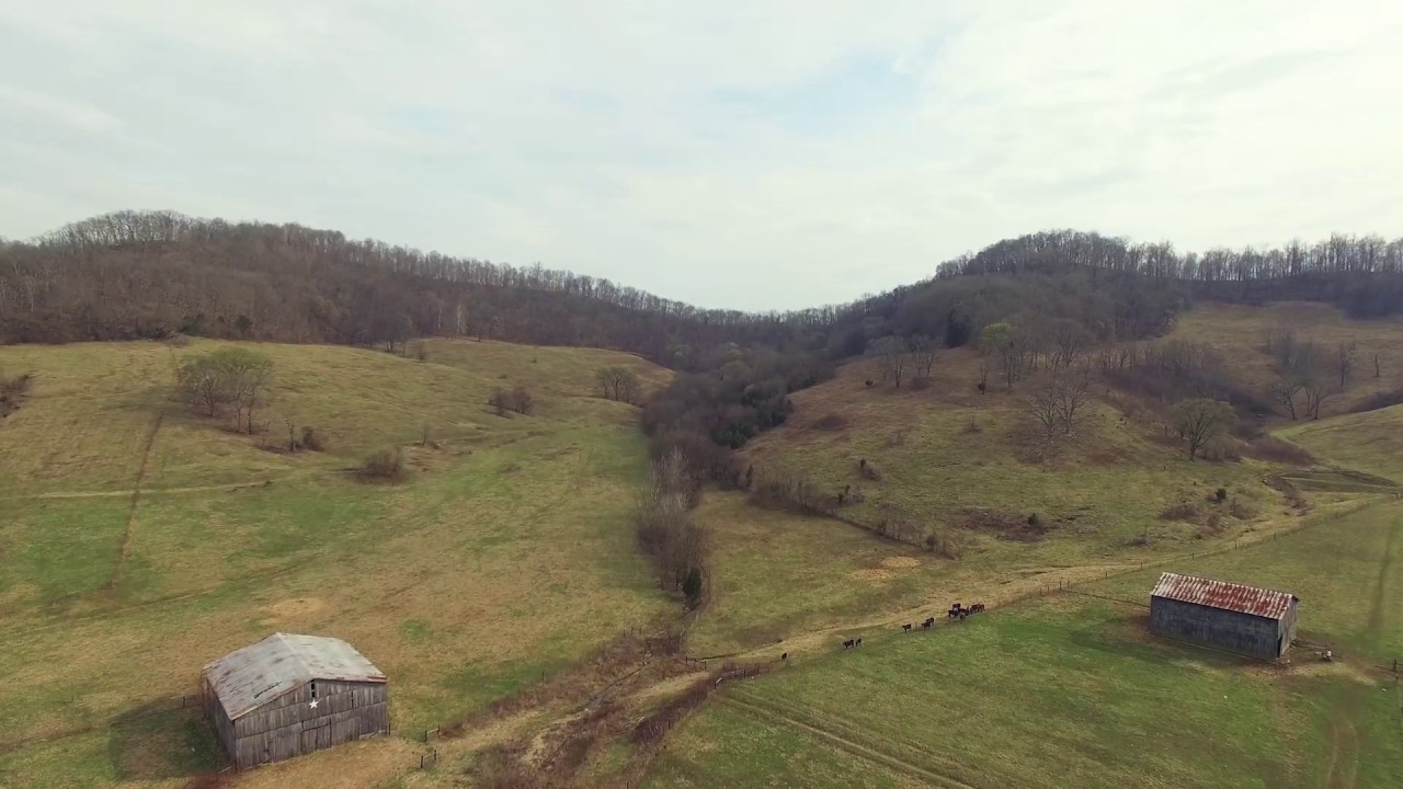 Stunning 205 Acre Farm for Sale