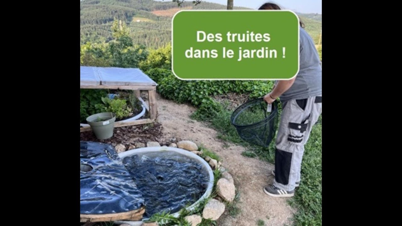 Présentation de notre système aquaponique