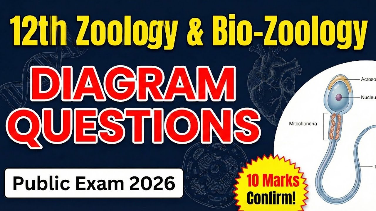 12th Zoology Public Exam 2026: Important Diagram Questions (10 Marks Confirmed!)