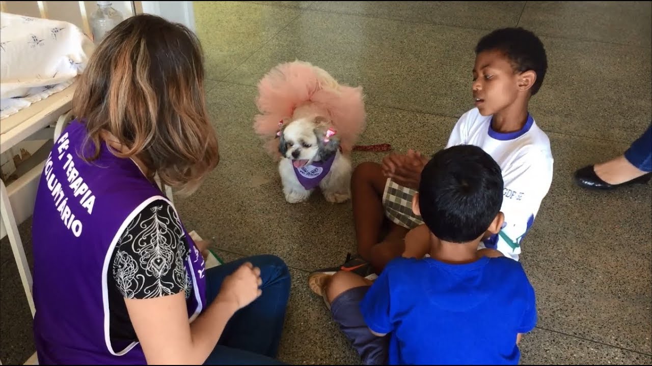 Animais podem atuar como terapeutas no tratamento de doenças