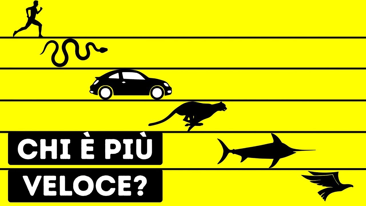 Chi È Il Più Veloce Essere Vivente Al Mondo?