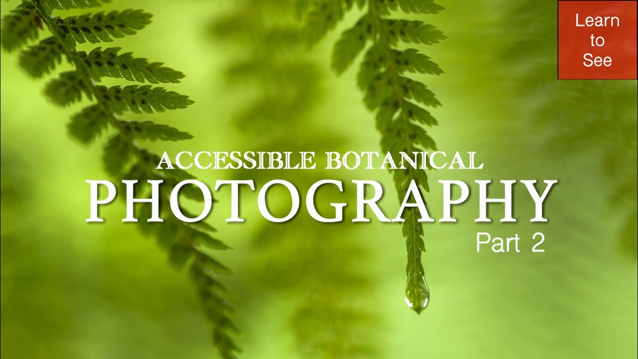 Часть 2: Доступная ботаническая фотография