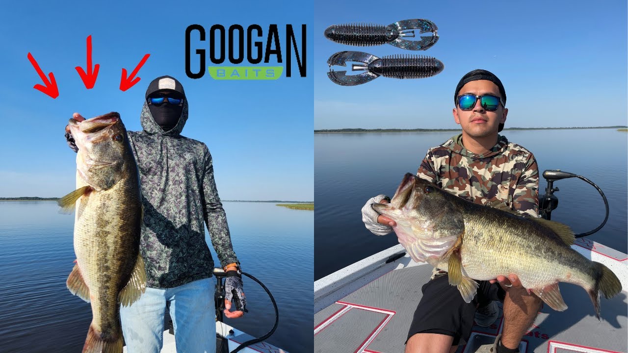 Bass Fishing Lake Tohopekaliga, Kissimmee Florida! Insane Flippin bite! (Googan Baits Nuke Punch)
