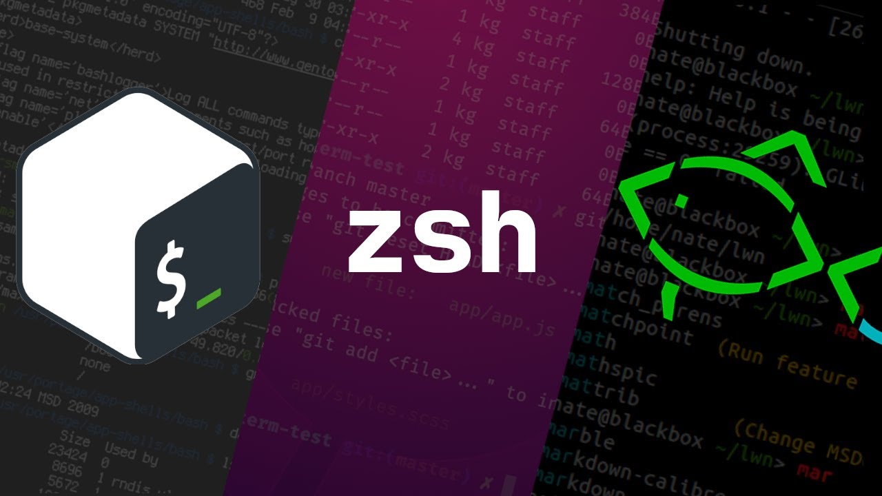 Bash, ZSH и Fish: в чем разница?