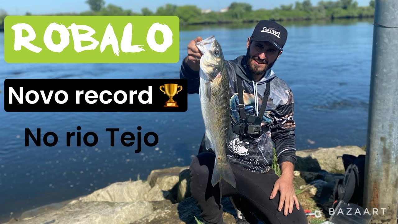 Novo record 🏆 robalo no rio Tejo 🎣