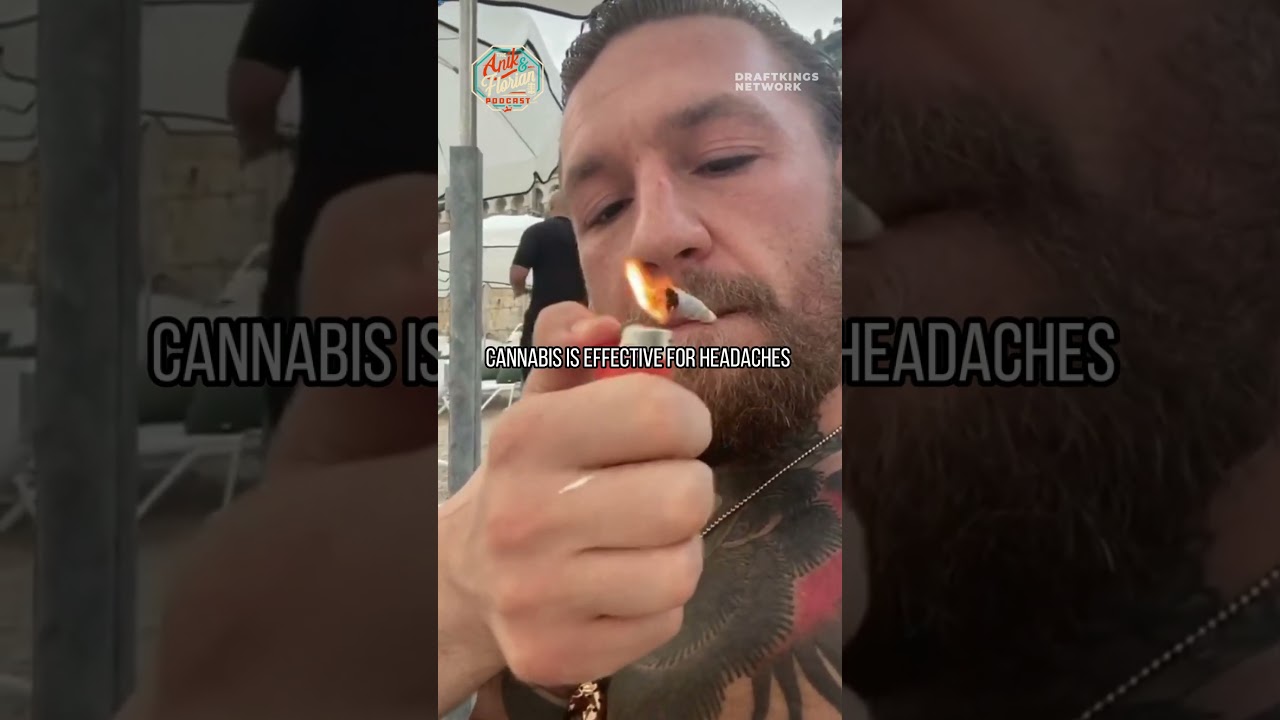 How Can Fighters Use Cannabis