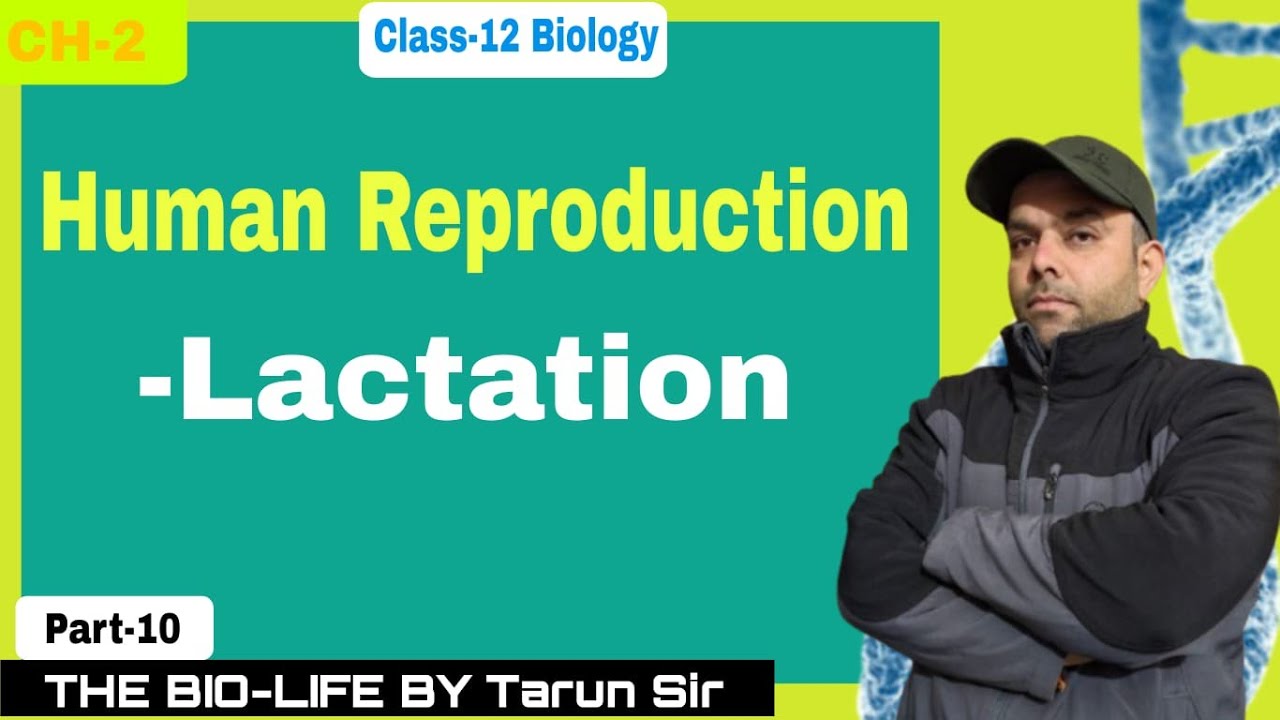 Lactation 🍼 | Human Reproduction | Class 12 Biology | NCERT Explained