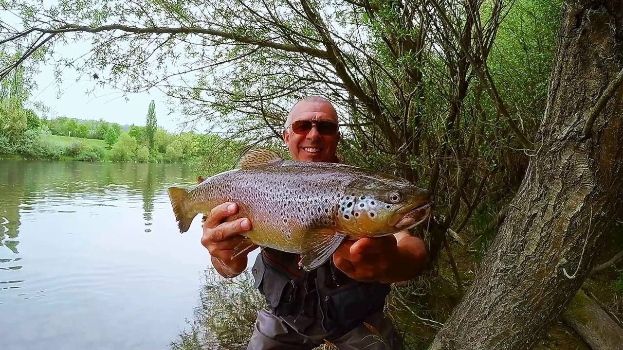 Touches en direct de 2 farios au Rhin au leurre souple