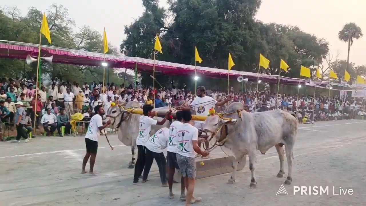 మహానంది న్యూ క్యాటగిరి విభాగంలో 10