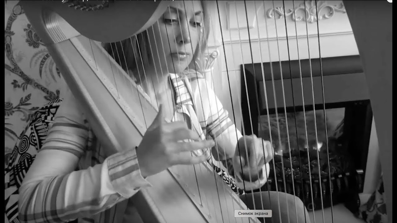 Kathrin Butterfly - harp, Bernard Andres - Epices, Muscade