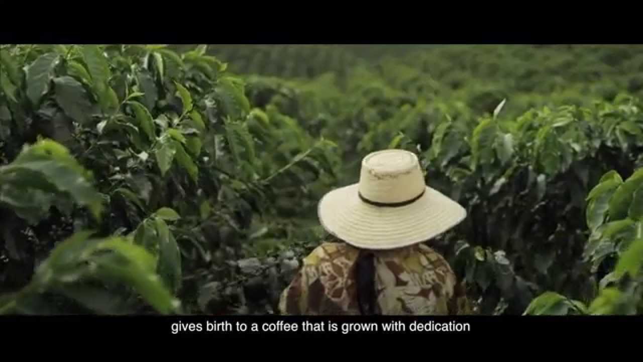 Juan Valdez® Café, Nuestro origen se vive en cada taza