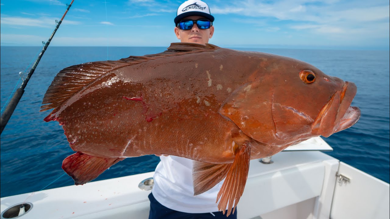 RECORD Fish Ruined...Catch Clean Cook (Deep Sea Fishing)