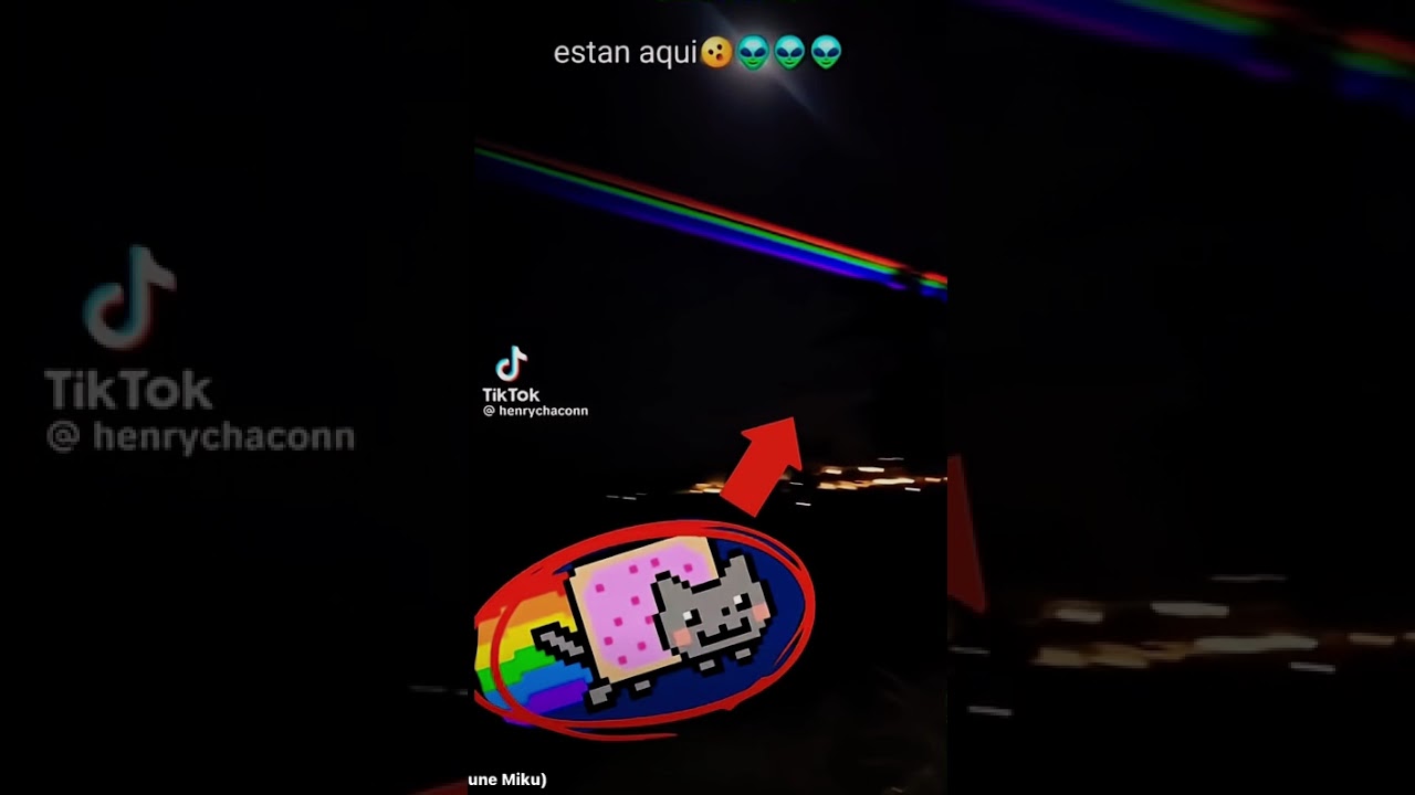 Cat#cat#rainbow#niancat