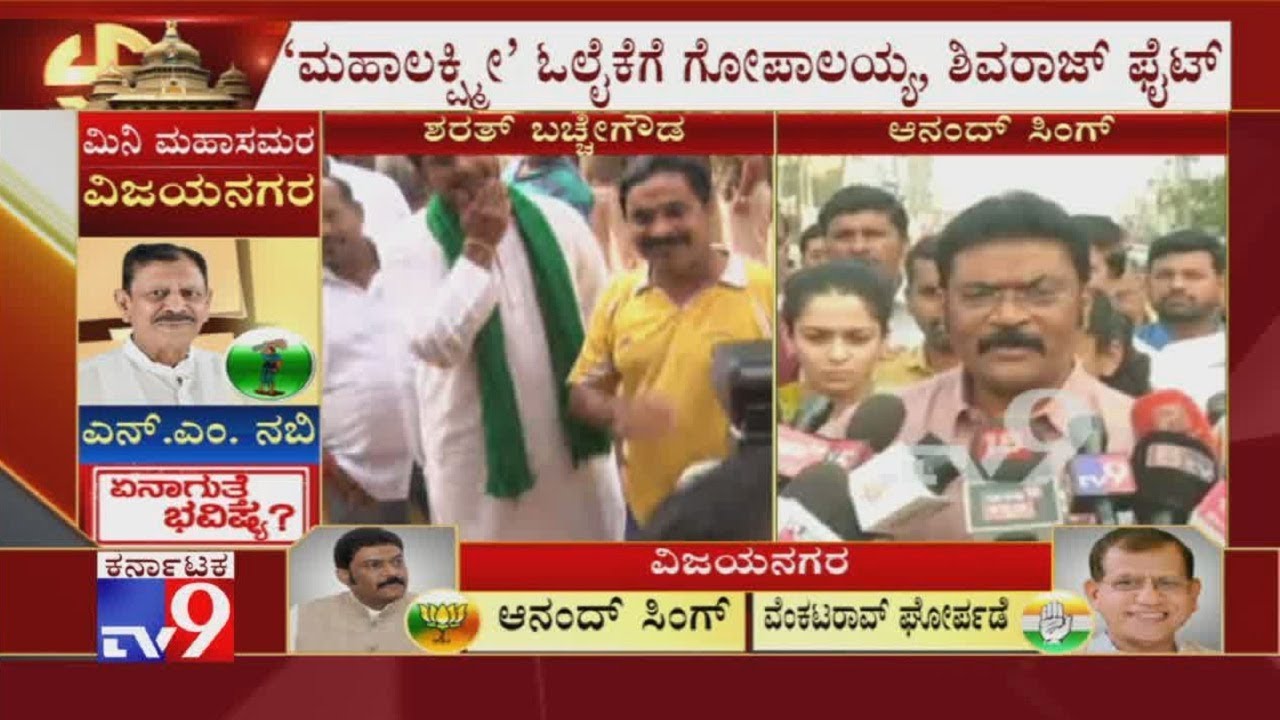 Vijayanagara Bypolls: Disqualified MLA Anand Singh Reacts After Casting His Vote