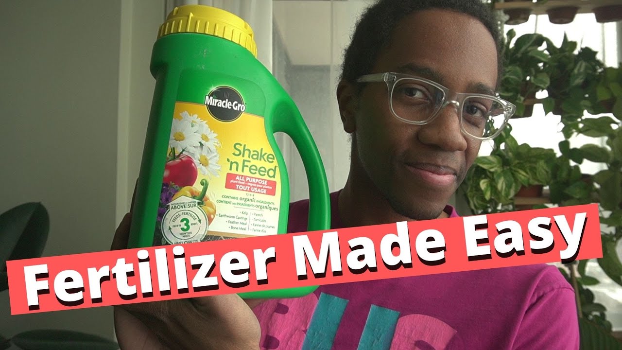 How to fertilize your Monstera | Slow release granules simplified!