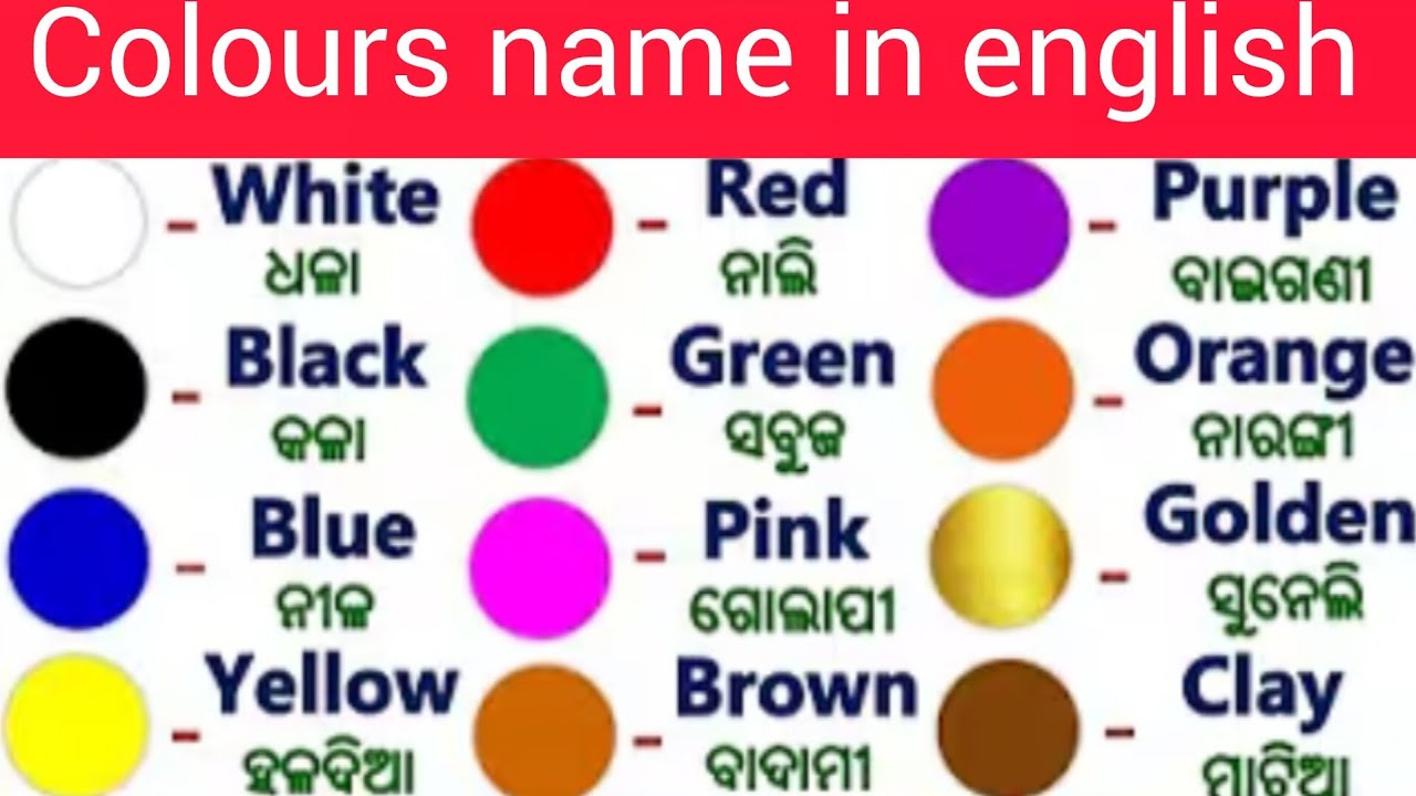 Colours Name In English//English Odia Words