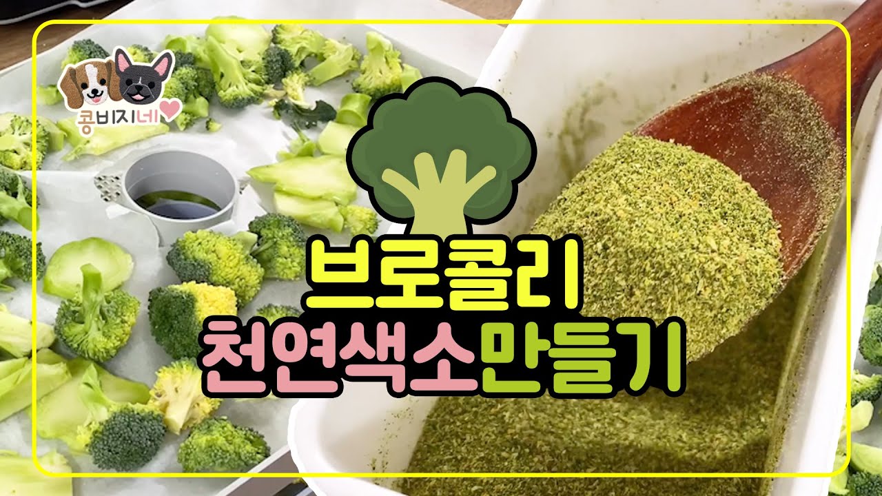 초간단! 강아지 수제파우더 만들기 | 브로콜리 천연가루 |