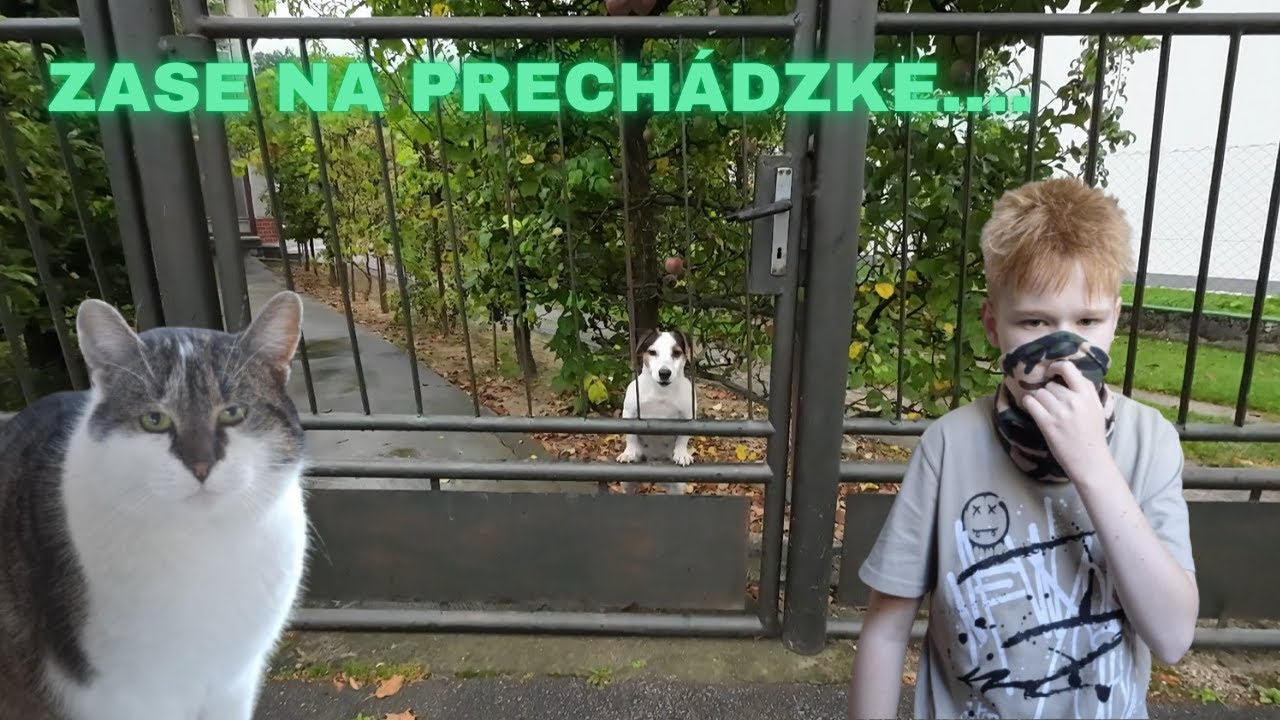 ZASE SOM IŠIEL NA PRECHÁDZKU......