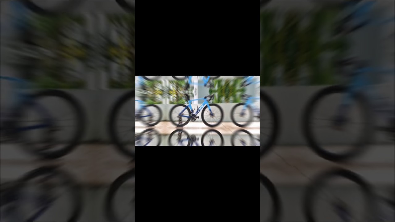 Beautiful Elves Falath Evo 