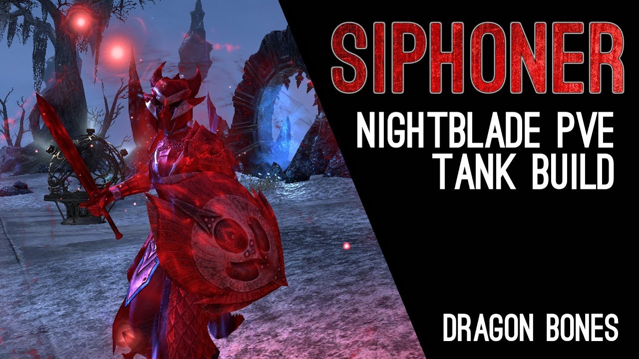 Nightblade Tank Build PvE 